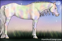 Horse Color:Nacre Cremello Ice Onyx