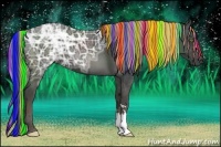 Horse Color:Painted Liver Chestnut Ice