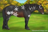 Horse Color:Brown Ice 