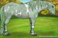 Horse Color:Watercolor White Spotted Brown Ice Varnish 