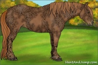 Horse Color:Chestnut Ice 