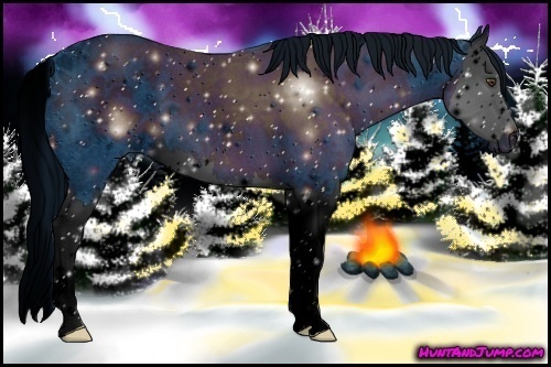 Horse Color:ERROR: UNKNOWN ANOMALY