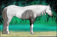 Horse Color:Liver Chestnut Ice Rabicano