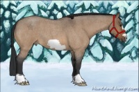 Horse Color:Bay Roan Dun Frame 
