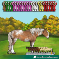 Horse Color:White Spotted Chocolate Palomino Tobiano 