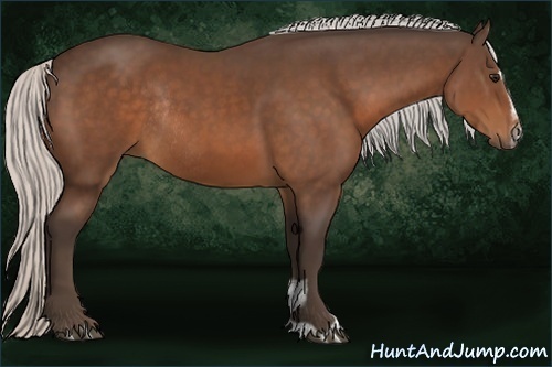 Horse Color:Silver Bay Sabino Rabicano 