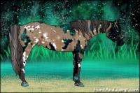 Horse Color:ERROR: UNKNOWN ANOMALY and Painted White Spotted Brown Dun Varnish 