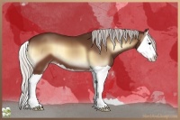 Horse Color:Silver Brown Onyx Splash