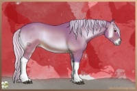 Horse Color:Watercolor Silver Brown Onyx Tobiano