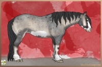 Horse Color:Blue Onyx Roan Frame 