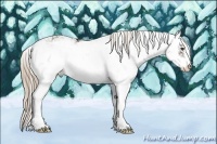 Horse Color:Liver Chestnut Sabino