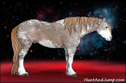 Horse Color:Liver Chestnut Ice Sabino