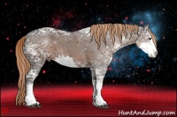 Horse Color:Liver Chestnut Ice Sabino 