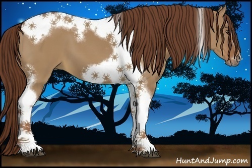 Horse Color:Red Dun Tobiano Frame 