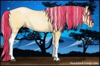 Horse Color:Painted White Spotted Silver Bay Pearl Dun Rabicano