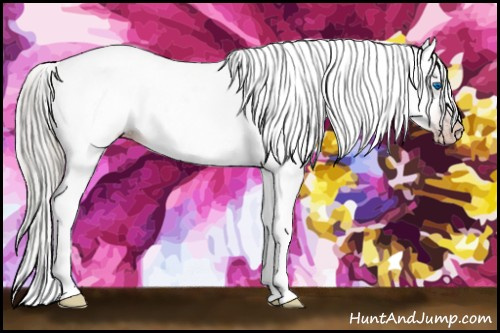 Horse Color:Gray Gold Champagne Ice Dun Splash Tobiano Frame Appaloosa 