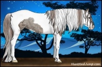 Horse Color:Classic Champagne Ice Splash Tobiano Varnish 