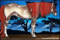 Horse Color:Painted White Spotted Red Onyx Rabicano