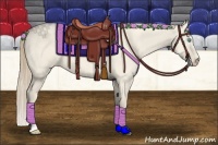 Horse Color:Perlino Dun 