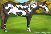 Horse Color:Liver Chestnut Frame 