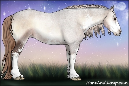 Horse Color:Liver Red Onyx Roan Sabino