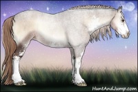 Horse Color:Liver Red Onyx Roan Sabino 