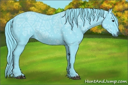 Horse Color:Watercolor Smoky Black Ice 