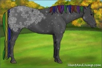 Horse Color:Painted Black Ice 