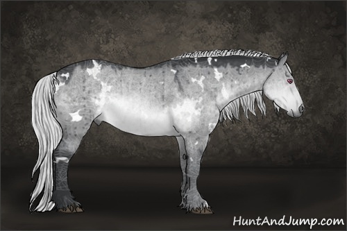 Horse Color:White Spotted Silver Brown Chinchilla Dun Rabicano 