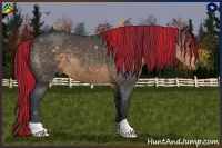 Horse Color:Painted Buckskin Roan 