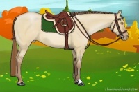 Horse Color:Brown Pearl Dun 