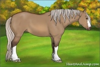 Horse Color:Silver Brown Dun