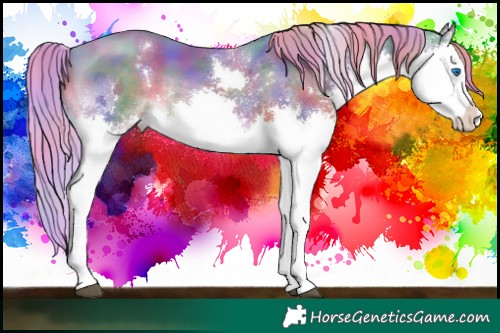 Horse Color:Nacre Watercolor White Spotted Liver Chestnut Splash Tobiano 