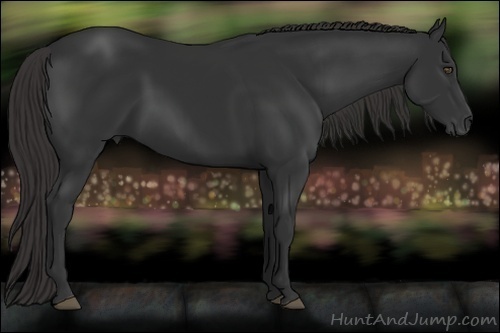 Horse Color:Liver Chestnut Frame 