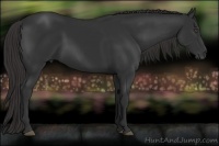Horse Color:Liver Chestnut Frame