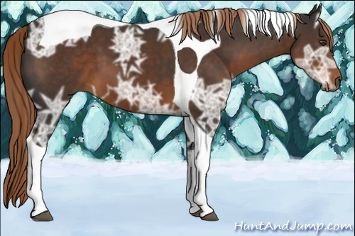 Horse Color:Liver Chestnut Ice Tobiano