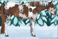 Horse Color:Liver Chestnut Ice Tobiano
