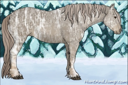 Horse Color:Chocolate Palomino Ice Rabicano 