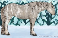 Horse Color:Chocolate Palomino Ice Rabicano