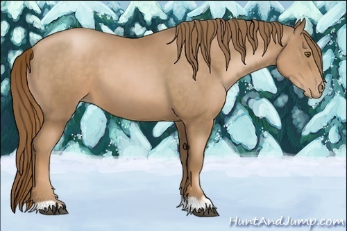 Horse Color:Liver Chestnut Pearl 
