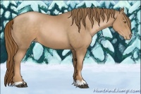 Horse Color:Liver Chestnut Pearl