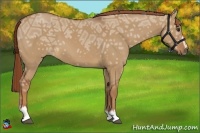 Horse Color:Red Dun Ice Sabino 
