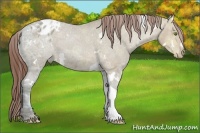 Horse Color:White Spotted Sable Champagne Ice Tobiano Varnish