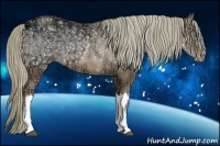 Horse Color:Liver Chestnut Ice Pearl 