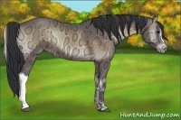 Horse Color:Bay Ice Onyx 