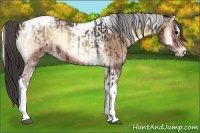 Horse Color:Brown Onyx Tobiano and Sable Champagne Onyx Tobiano