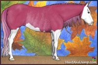 Horse Color:Watercolor Chestnut Splash Rabicano 