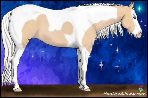 Horse Color:Watercolor Palomino Splash Tobiano 
