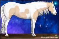 Horse Color:Watercolor Palomino Splash Tobiano 