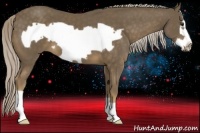 Horse Color:Chocolate Palomino Frame 
